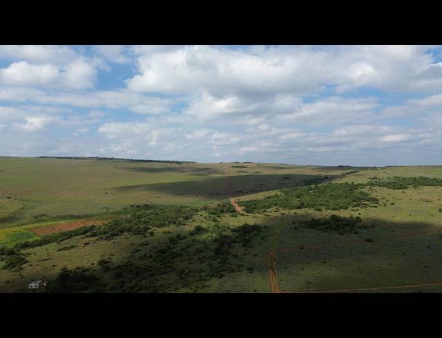 80HA FARM TO LET IN WESTONARIA RURAL